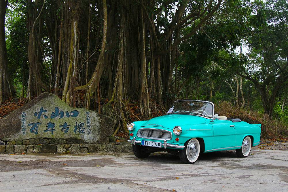 斯柯达felicia车型,斯柯达felicia发展史详解