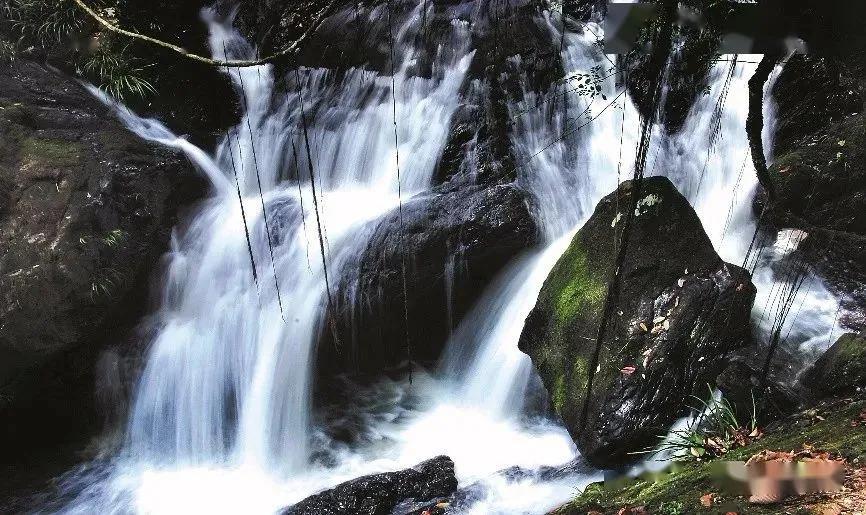 乡村振兴|畅游三叠奇景，慢享仁洲时光