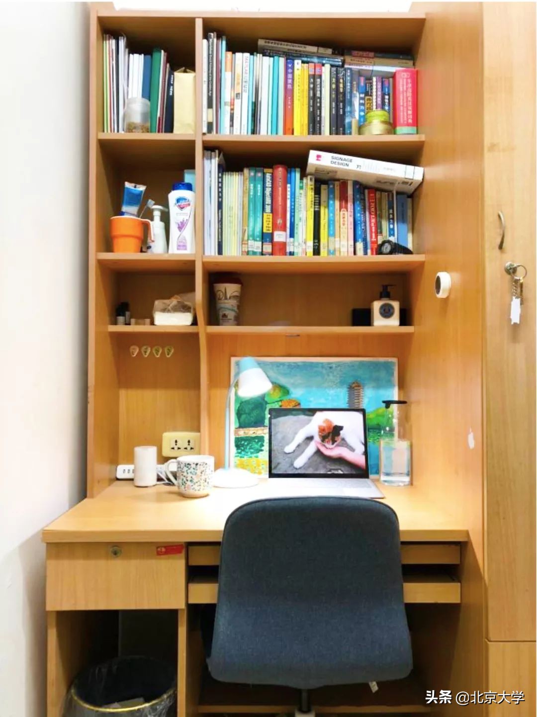 北大学霸的房间,北大宿舍都是学霸
