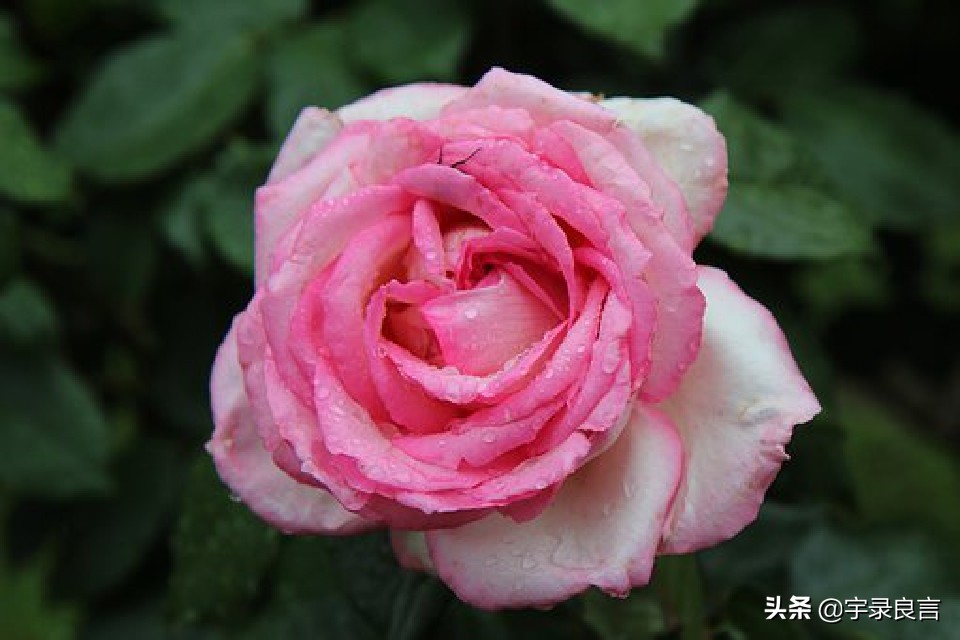 年度热门说说句子大全简短,精辟简短的经典说说