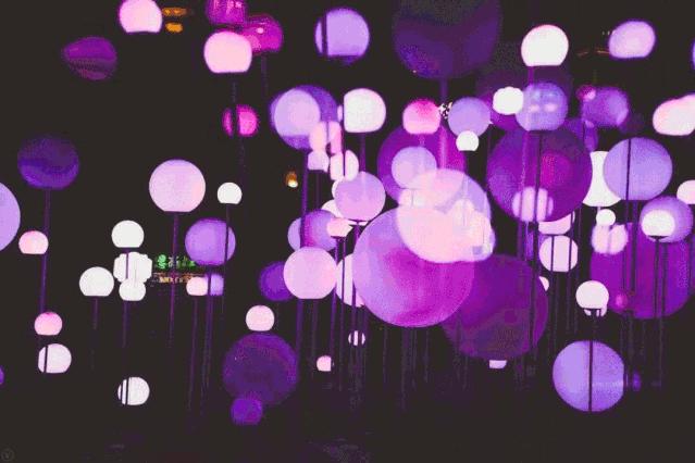 上海夜市魅力之都,上海夜生活节来了