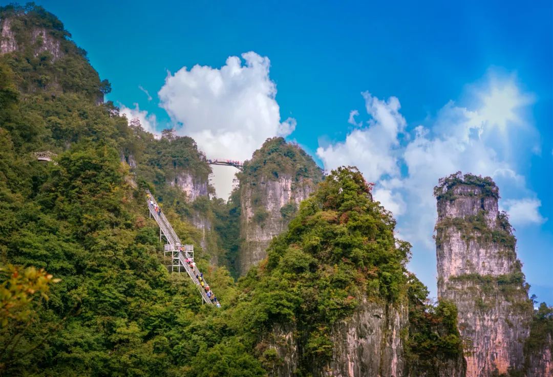 火车豪华旅游专列卧铺,空调旅游专列