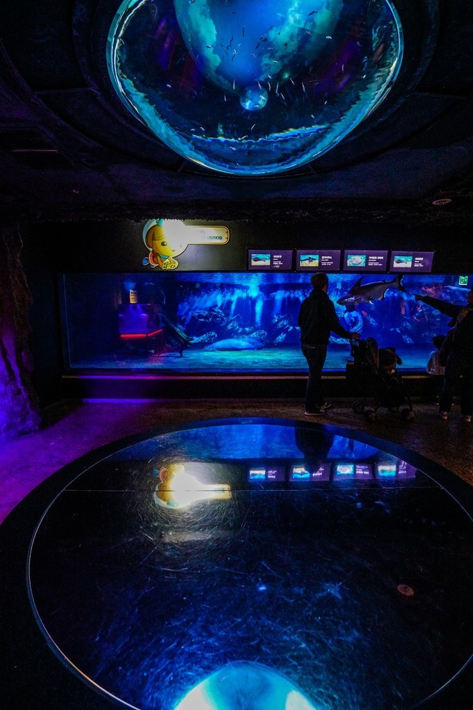 新手怎么逛免税店攻略,50家免税店最划算攻略在此