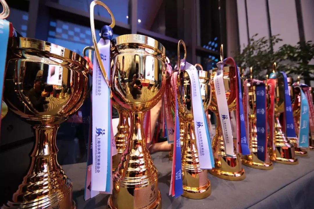 第二届王者荣耀全国大赛完整,第二届王者荣耀全国赛