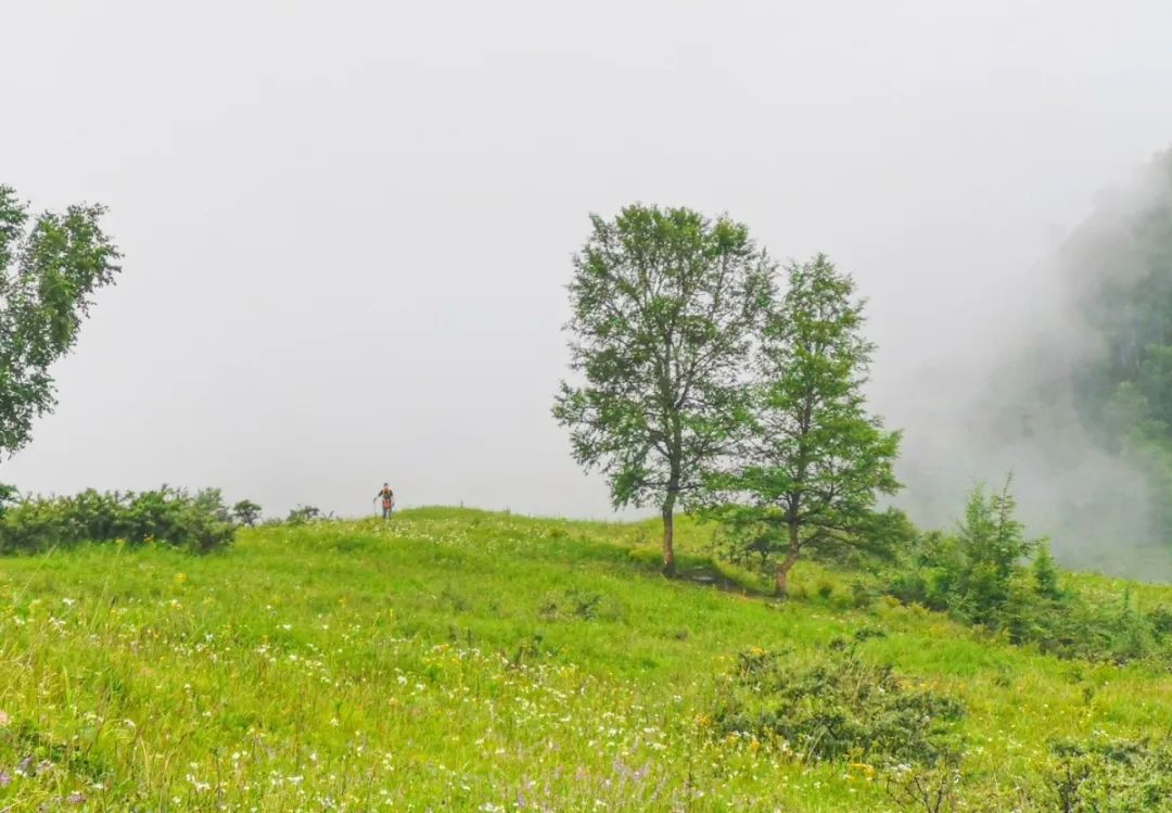 徒步穿越北驼梁完整版,穿越花海古道游记