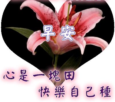 老同学春天暖心祝福语早上好图片,春天早上好中老年朋友问候短句