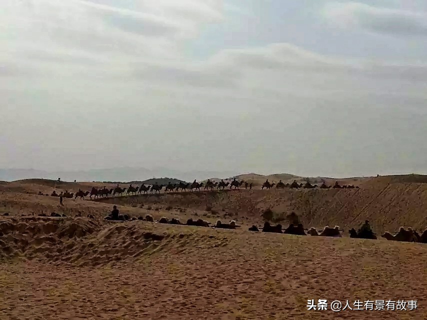 宁夏中卫沙坡头多美丽,宁夏中卫沙坡头之旅