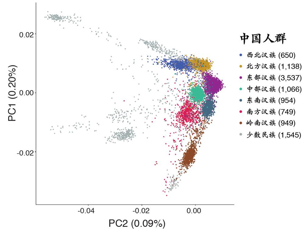 中国人和日本人的基因序列,中国人基因组南北差别