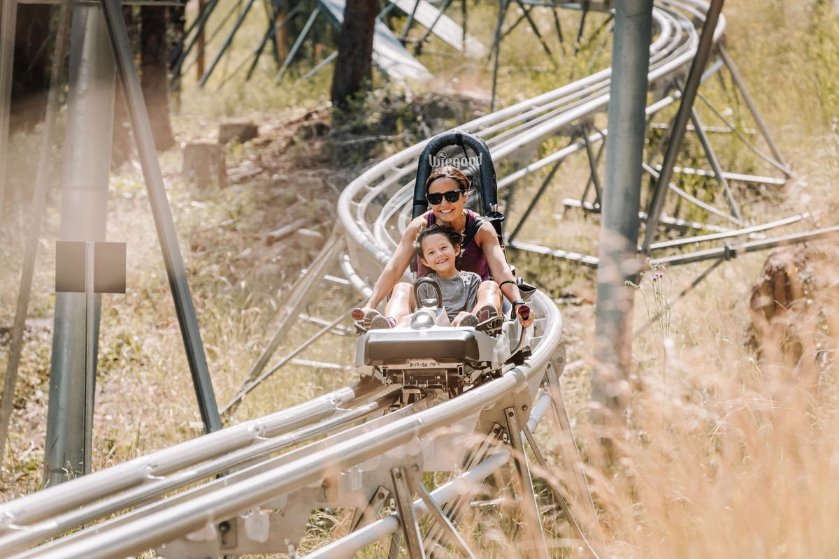 迷失森林强化攻略,迷失森林十九关攻略