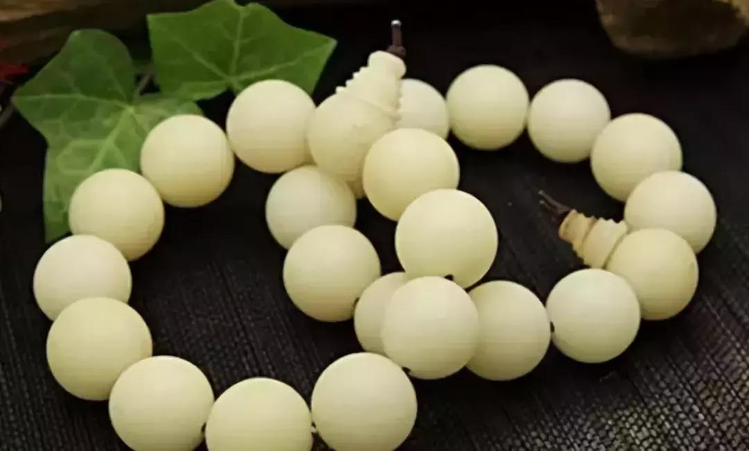 最全的菩提子图解太美了,最好的菩提子