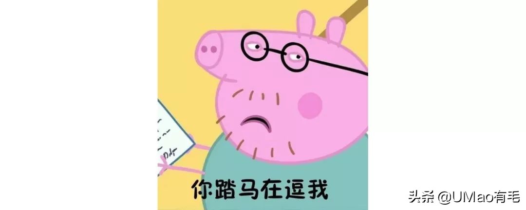 只刷啥是佩奇！那些被夺去猪年C位的小可爱你忘了吗？！