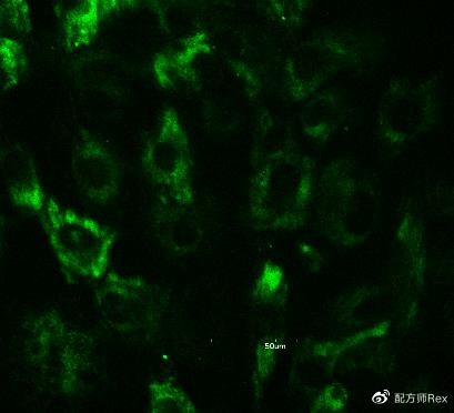 来自新西兰的抗老秘方,好使吗?