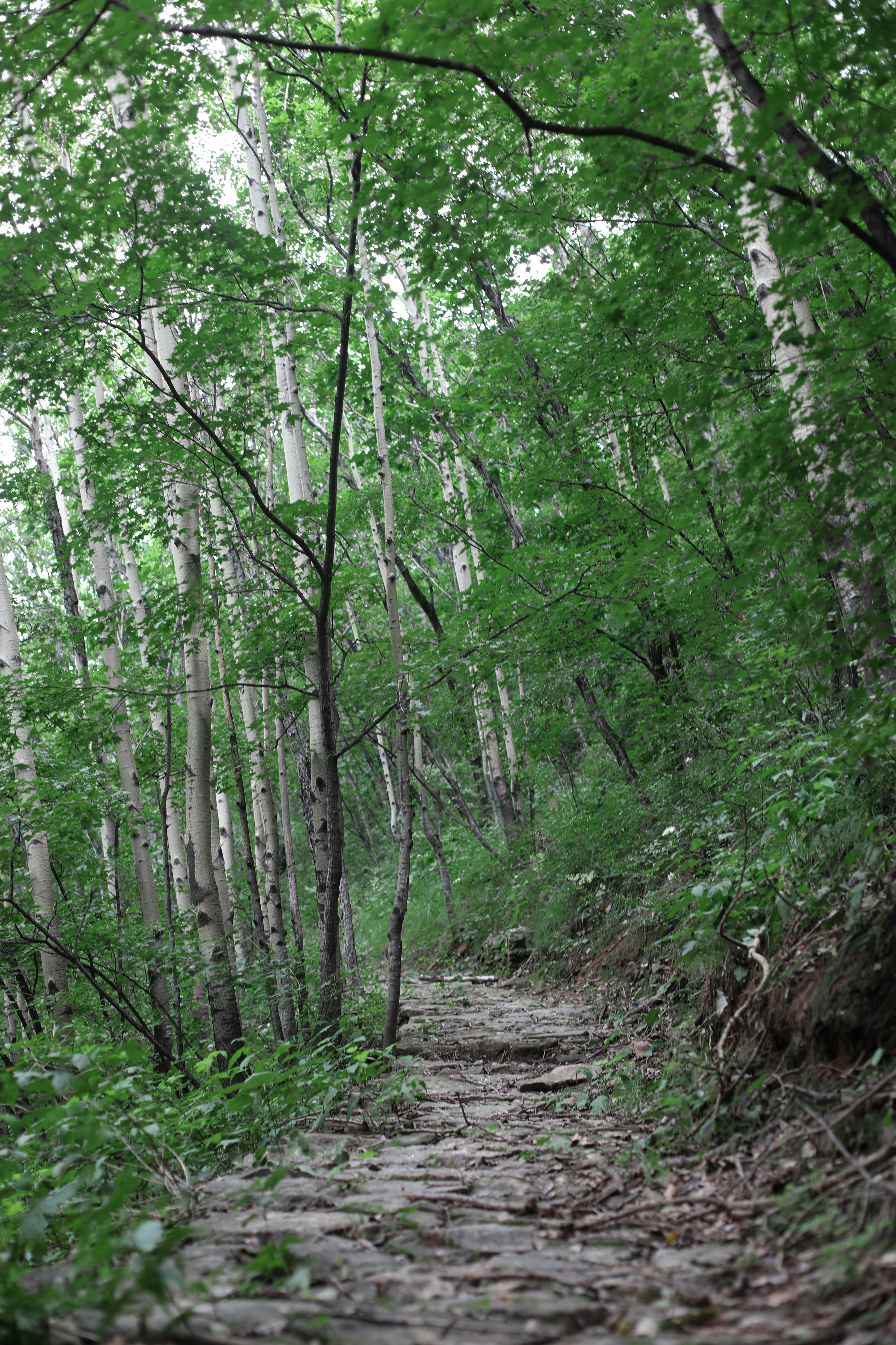 京郊十条登山步道推荐,房山蝴蝶谷登山步道