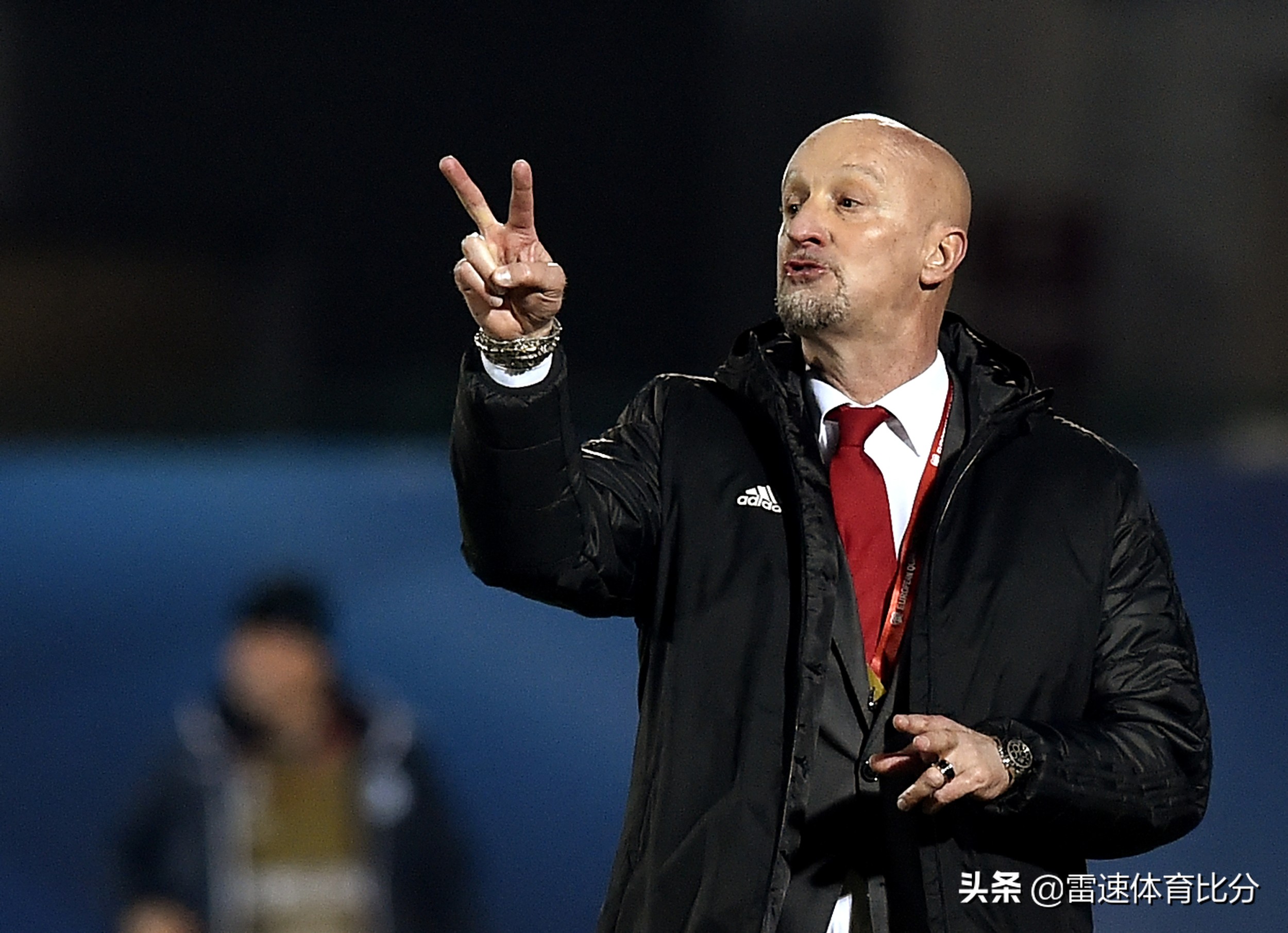 欧洲杯匈牙利分析,索博斯洛伊领衔黄金一代