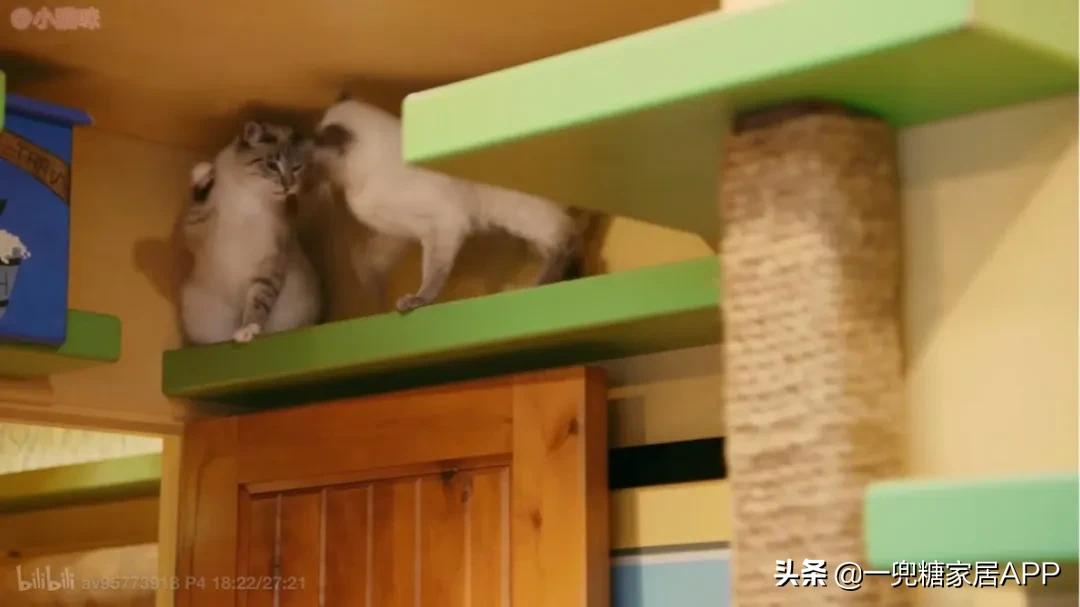 全国数万条家庭视频曝光,非典型纪录片