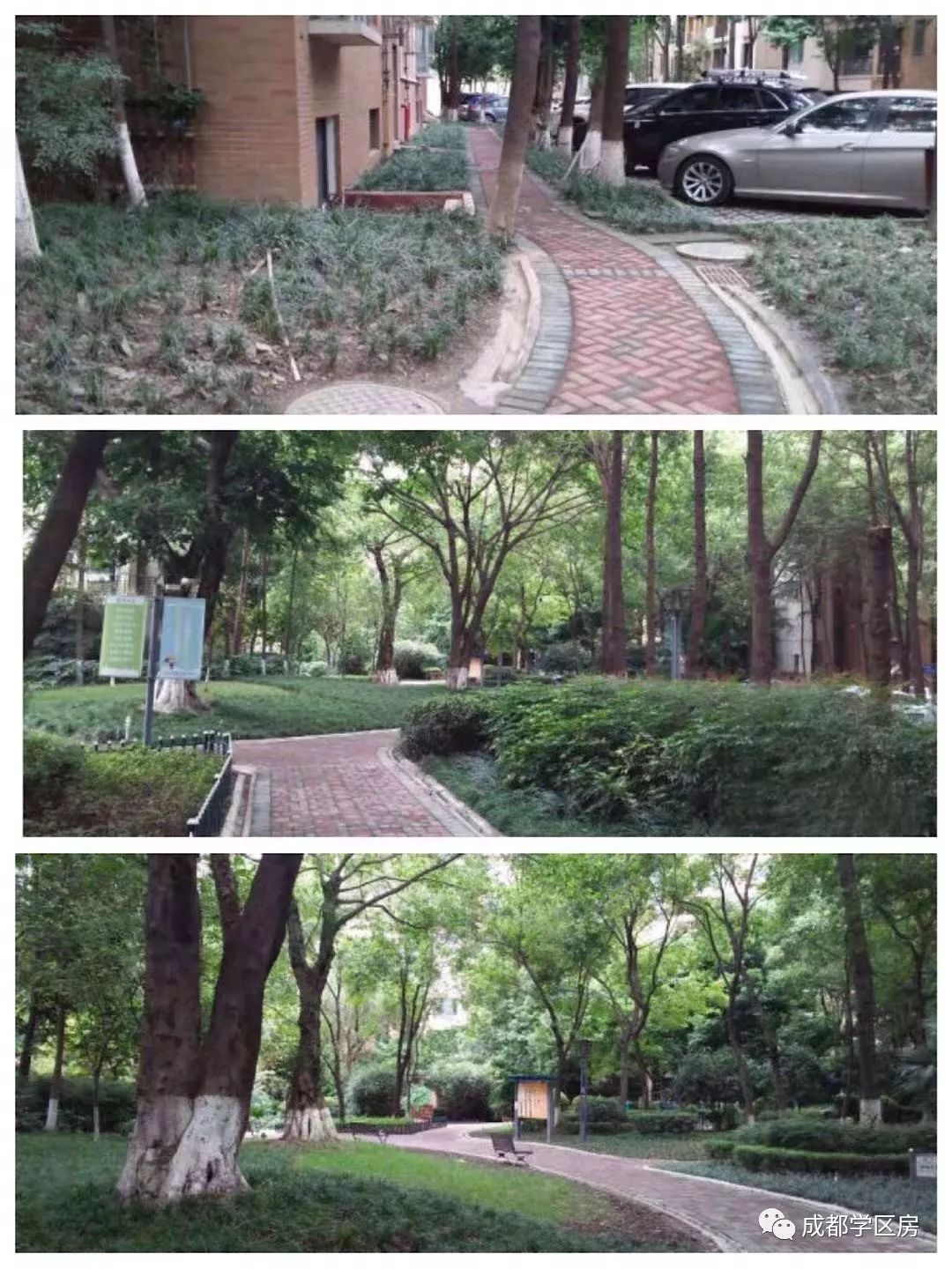 成师附小万科分校楼盘,万科城市花园1期楼栋分布图