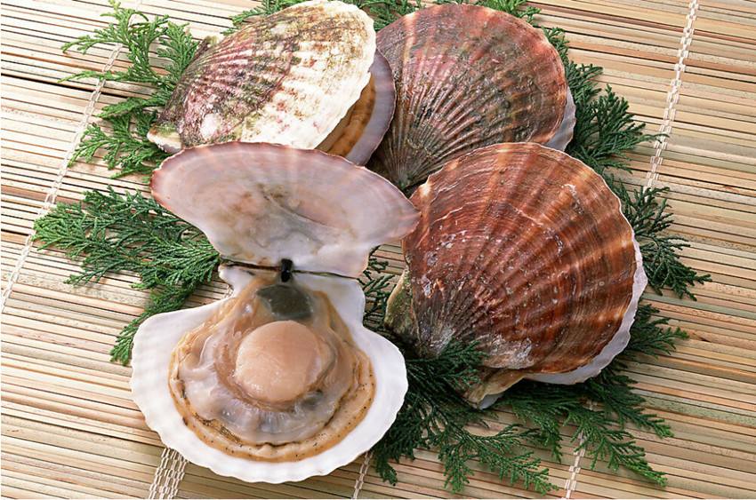 包小仙无盐虾皮,包小仙干贝汤