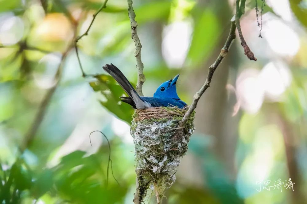 告别平谈的照片吧！17招让你的照片有大片感