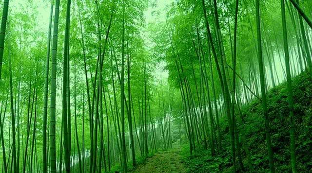 浙江有哪些有瀑布的旅游景点,浙江旅游景点推荐瀑布