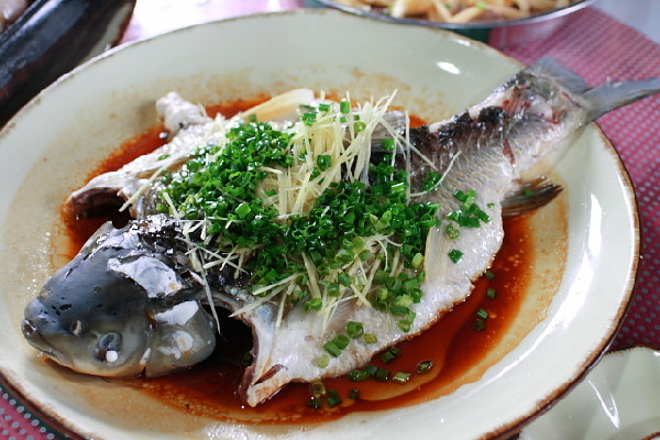 冷冻的海鱼可以清蒸吗,冷冻的海鱼如何煮好吃