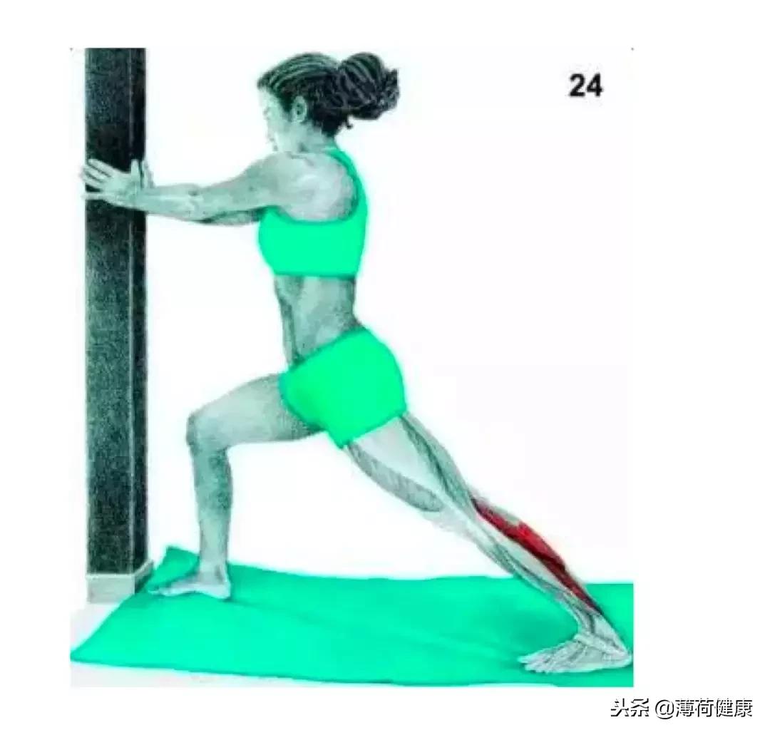 不想小腿变粗怎么练提踵,不想腿太粗怎么练腿