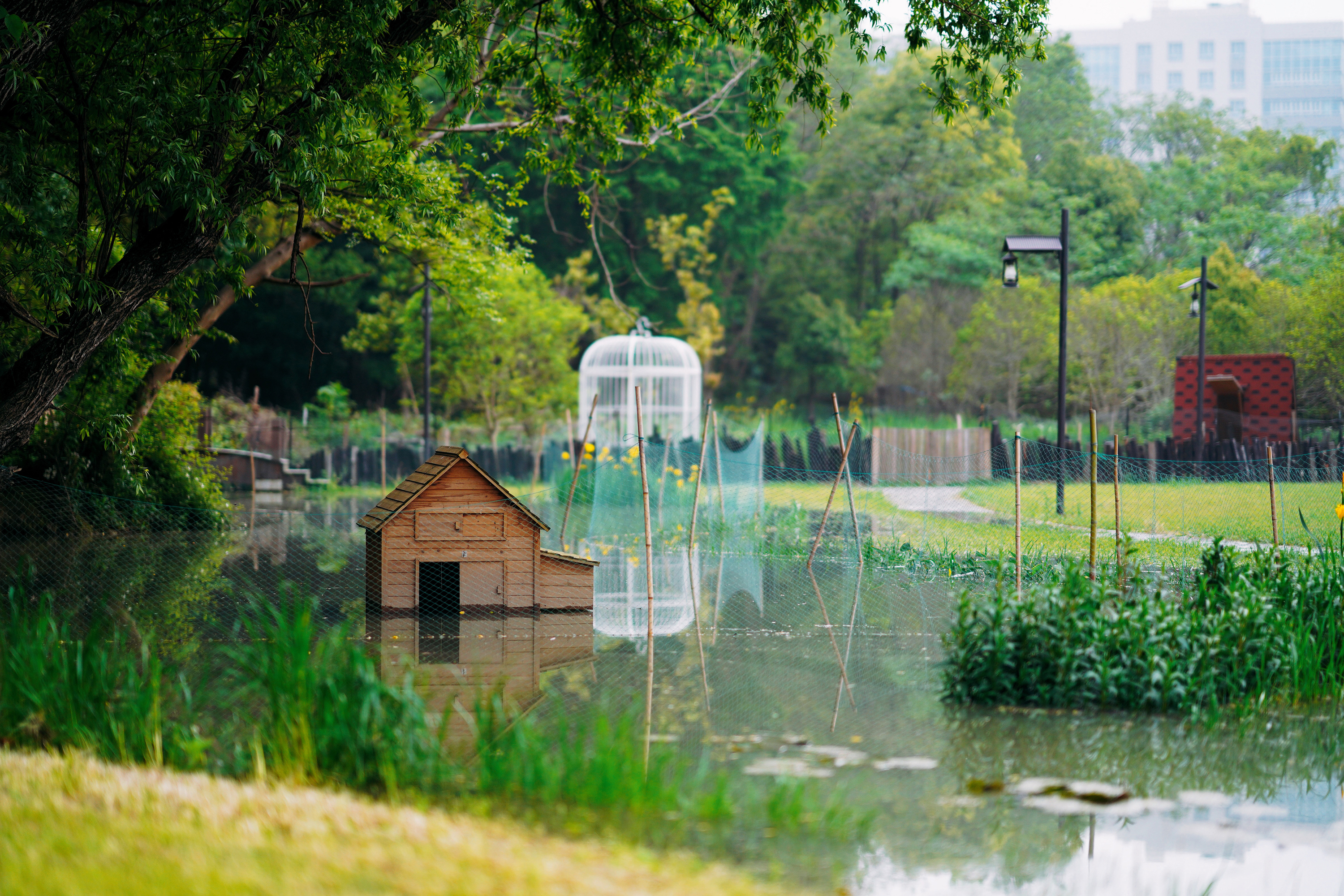 苏州特色民宿推荐,苏州最有特色民宿推荐