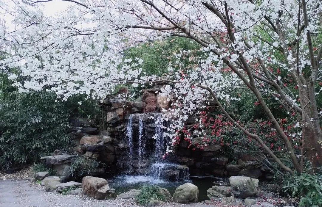 德阳最好的专科学校,四川德阳最好的专科学校