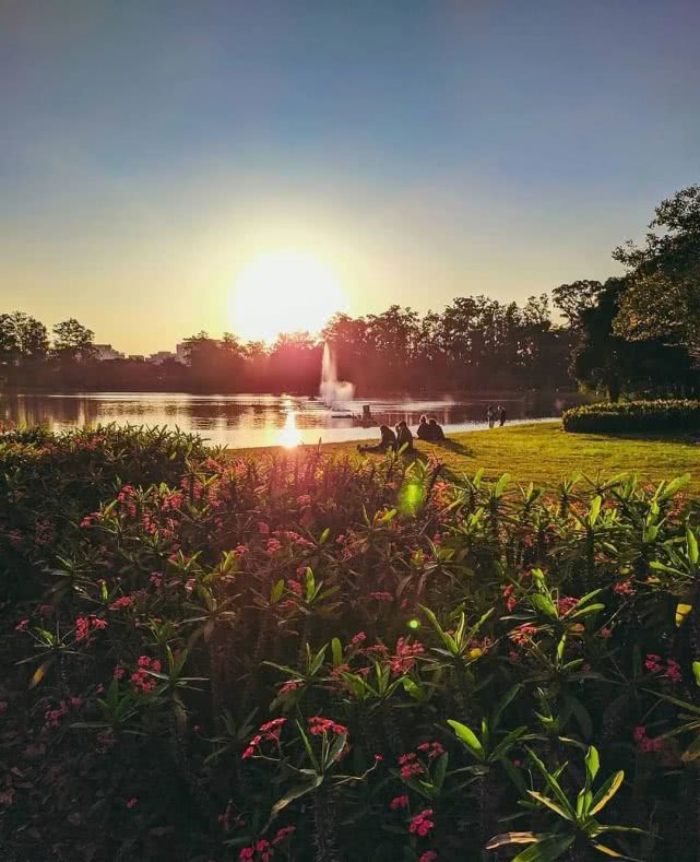 半城繁华半城园,春来十城早知道