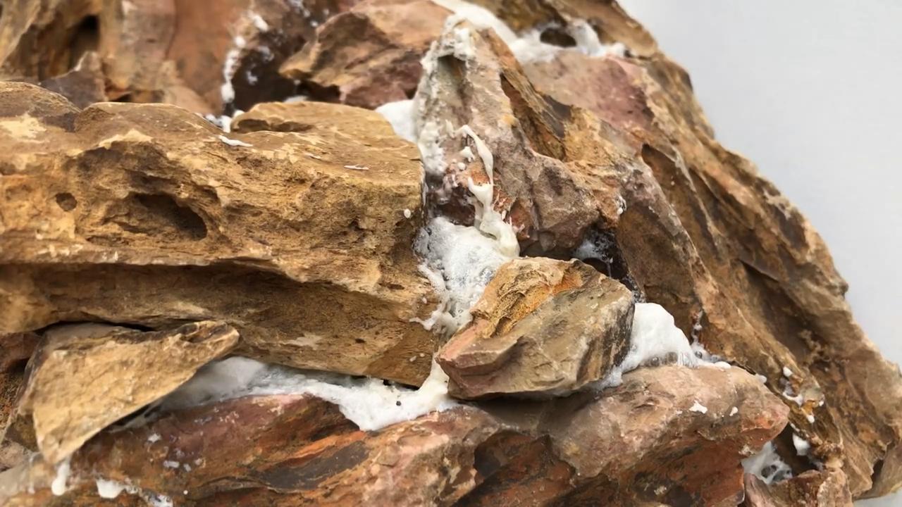 小草缸造景入门水草基本知识,小型草缸造景入门水草基本知识