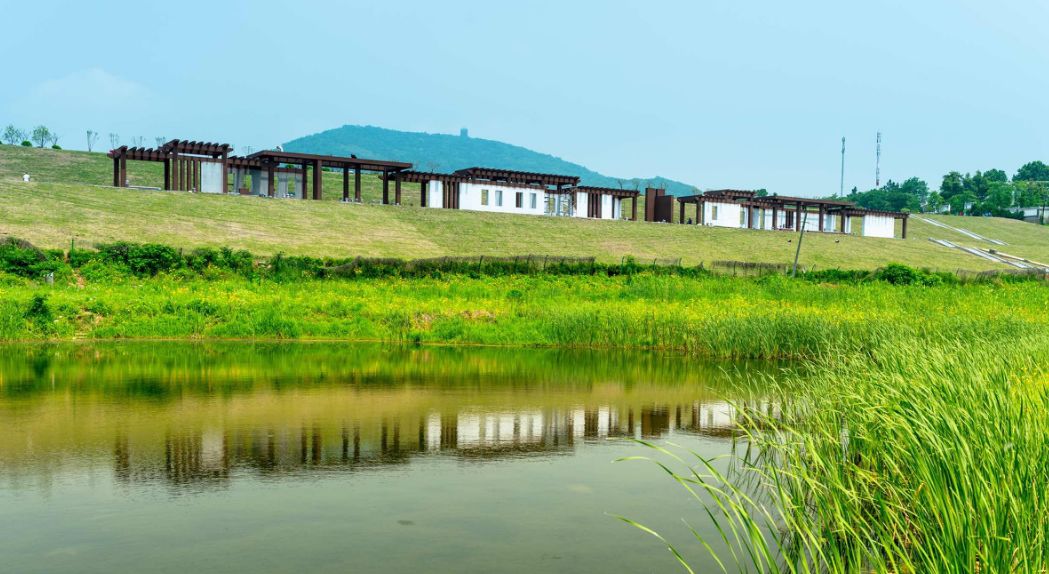 南京人关心的消息,南京市人注意事项