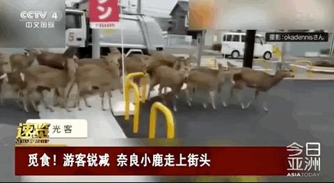 疫情还没结束需要辞职吗,疫情期间下岗失业人员补贴政策