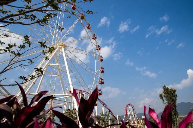 迪士尼门票vip可以玩2天,迪士尼门票一日双人套餐