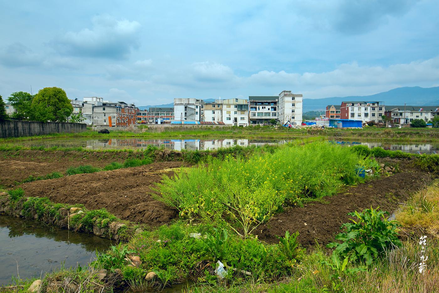 明朝留下来的水缸多少钱,明代的澡堂