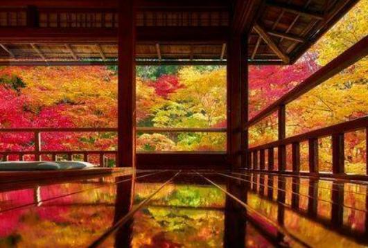 80后旅游博主,80后旅行博主