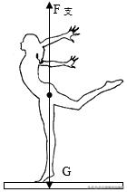 初二物理力讲解图,北方课堂初中物理