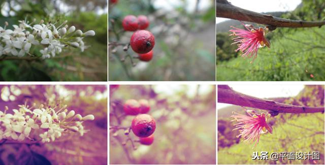 ps人物调色教程全过程,ps怎么给视频调色教程