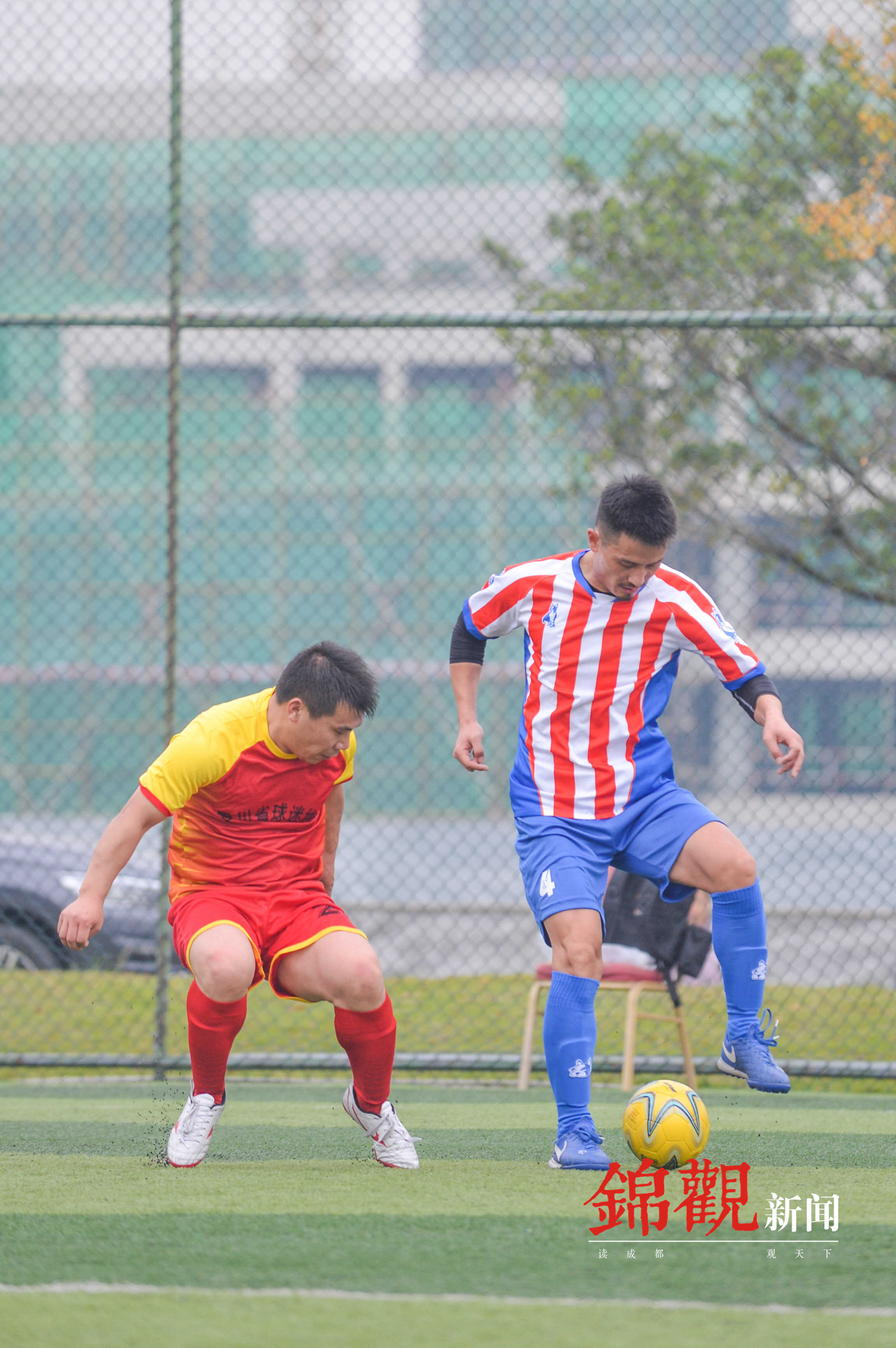 第二十届晚报杯足球比赛,读者杯足球赛