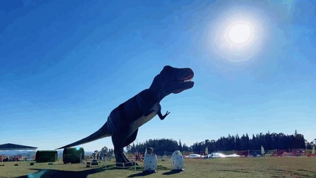 昆明亲子游户外旅行地,昆明周边户外游玩景点推荐带孩子