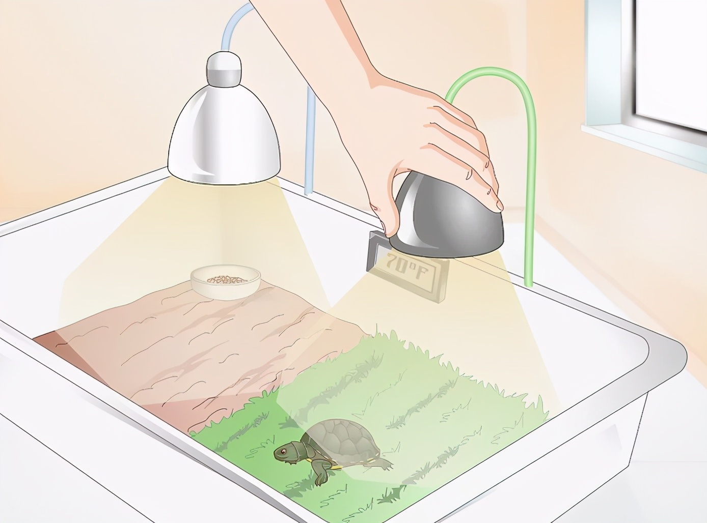 乌龟不进食的原因及解决方法,乌龟不吃食的原因及解决办法