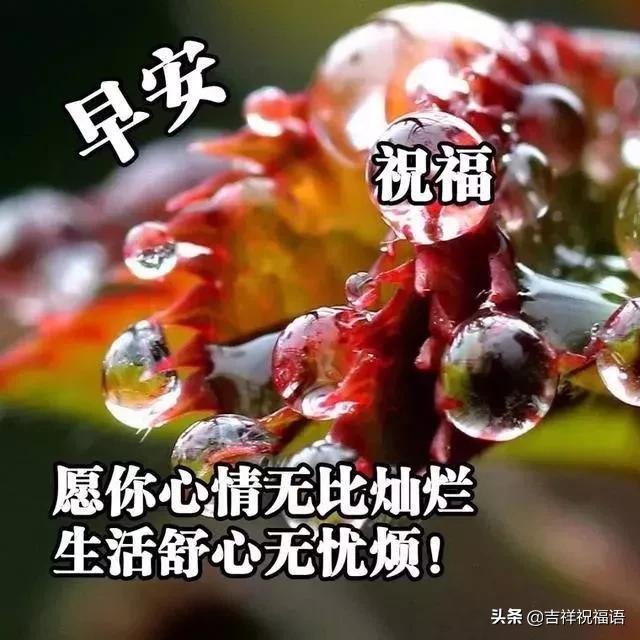 人生路有风有雨有苦有甜,人生的路有风有雨有坎坷