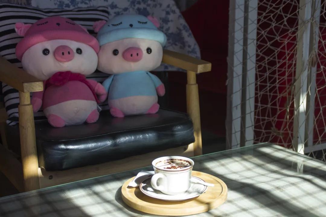 那群带着理想扎根生活的人，给北港带来了不一样的乡村温度