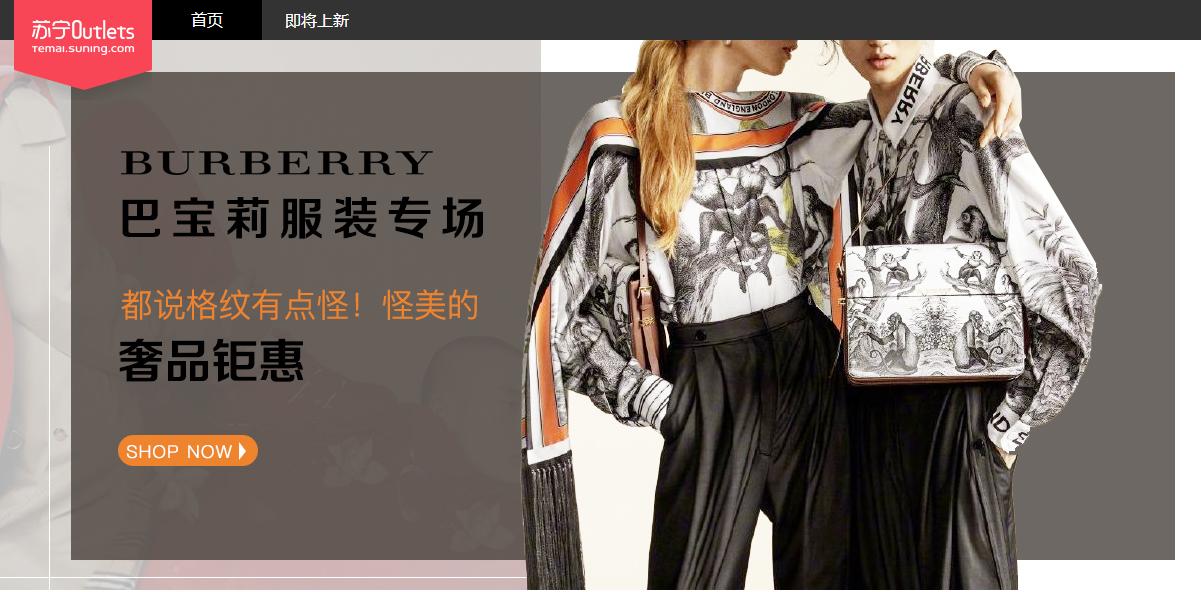 苏宁上架古驰,苏宁古驰女包