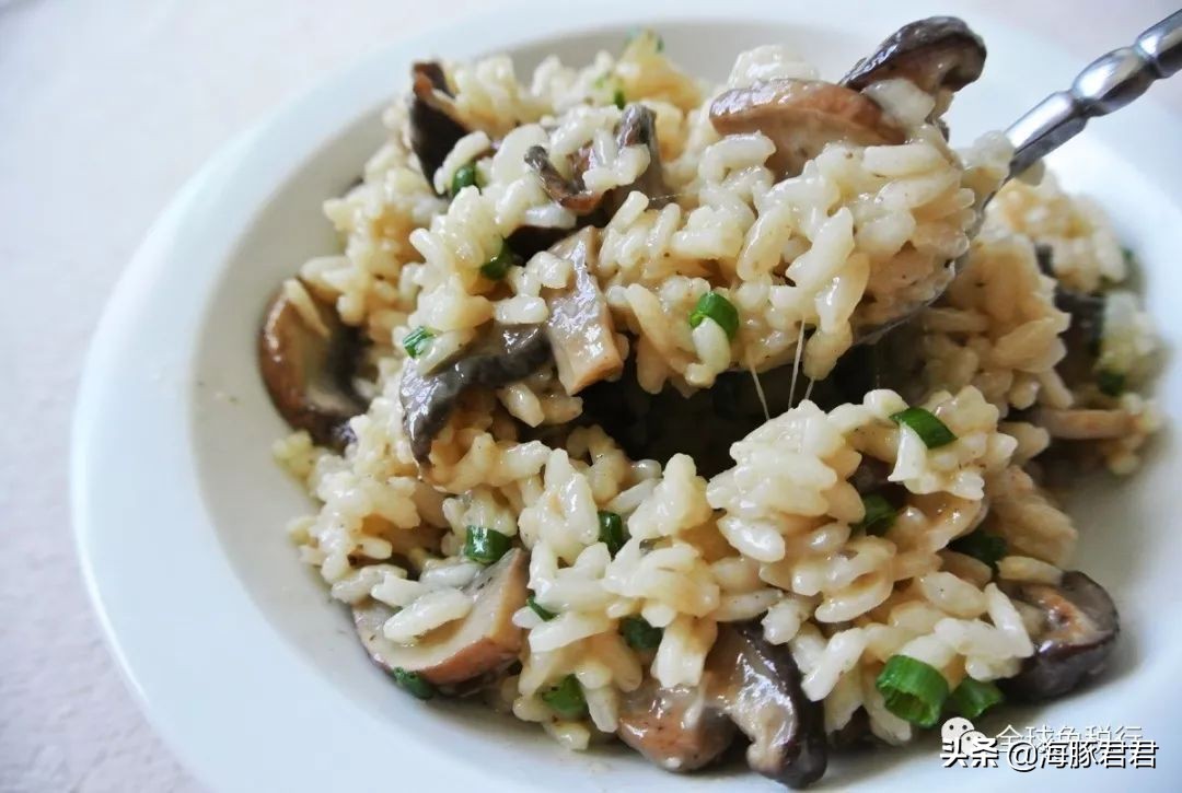 2020意大利最全旅游购物攻略,意大利游玩攻略及费用