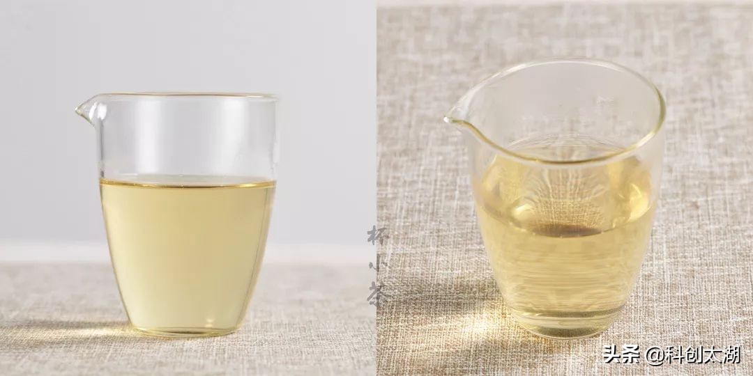 什么茶泡茶最好喝,哪些茶用开水冲泡好喝又健康