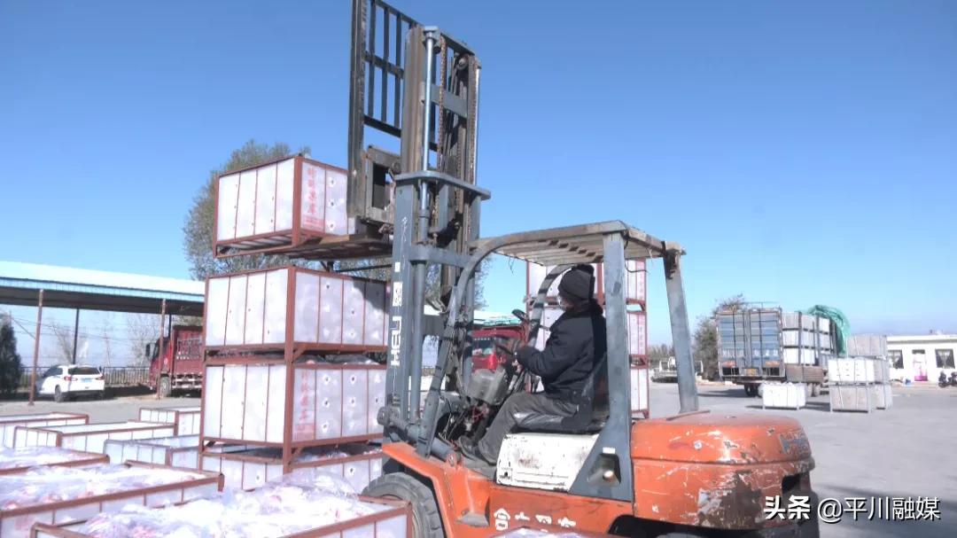 又香又脆又甜的苹果,好吃的苹果又脆又甜青苹果