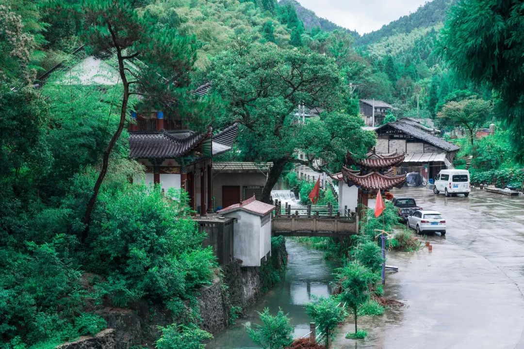 温州正规民宿名单,温州十大口碑最好民宿