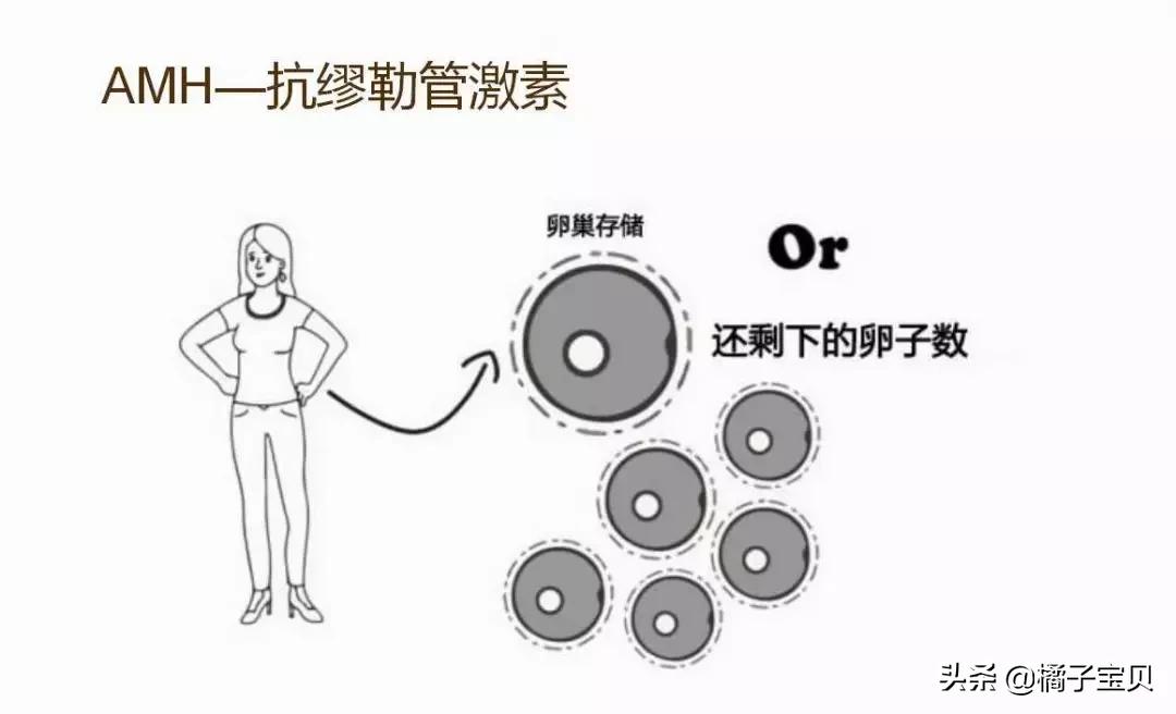 卵巢功能极差怎么备孕,卵巢功能不好备孕小技巧