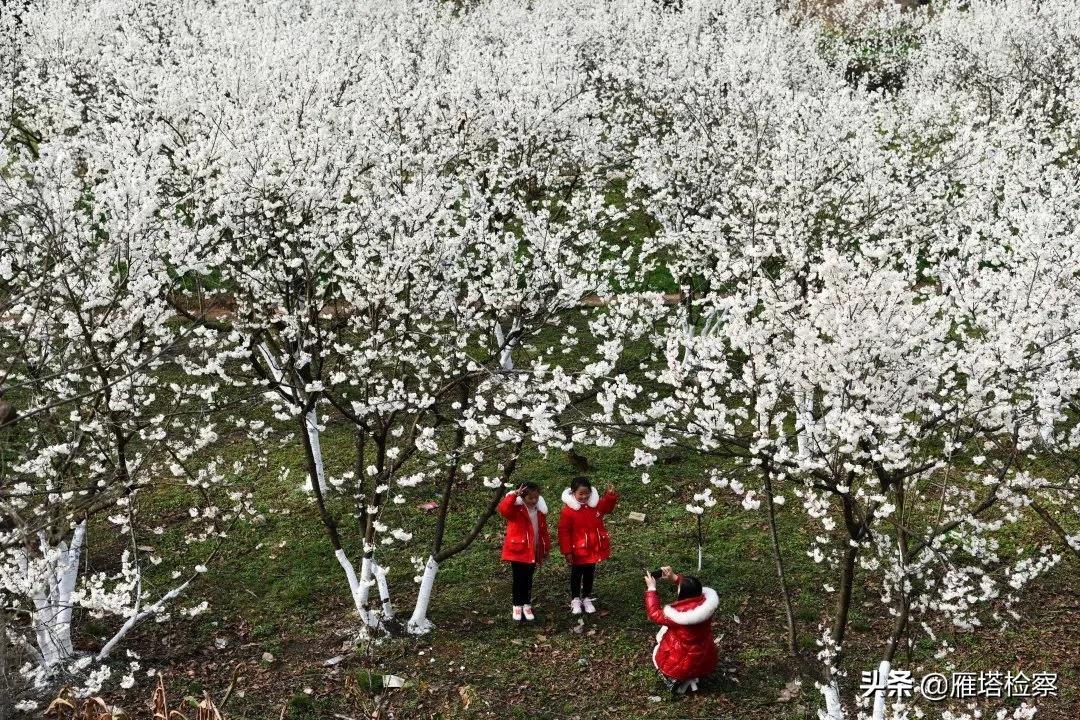 回顾脱贫攻坚波澜壮阔的伟大历程,彪炳史册的伟大奇迹全文