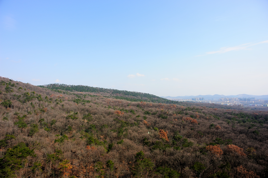 朱元璋的灵山寺,朱元璋去过的南京寺庙