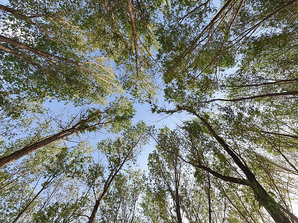 大疆360gopro三款运动相机测评,gopro大疆insta360哪个好